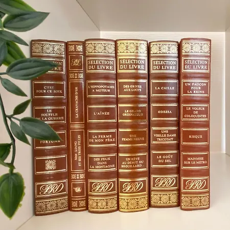 Proche Du Theatre Appartement *