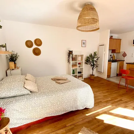 Appartement Proche Du Theatre Tours