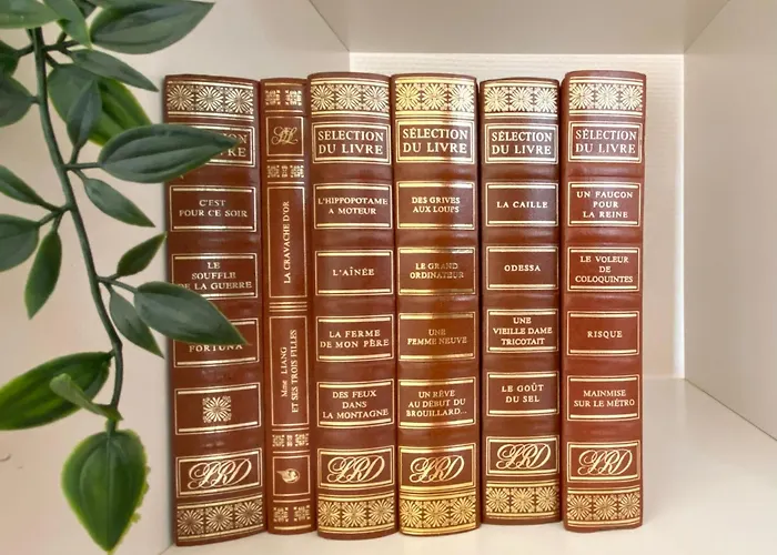 Proche Du Theatre 公寓 *