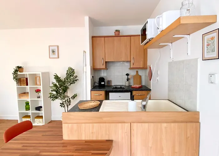 Proche Du Theatre 公寓